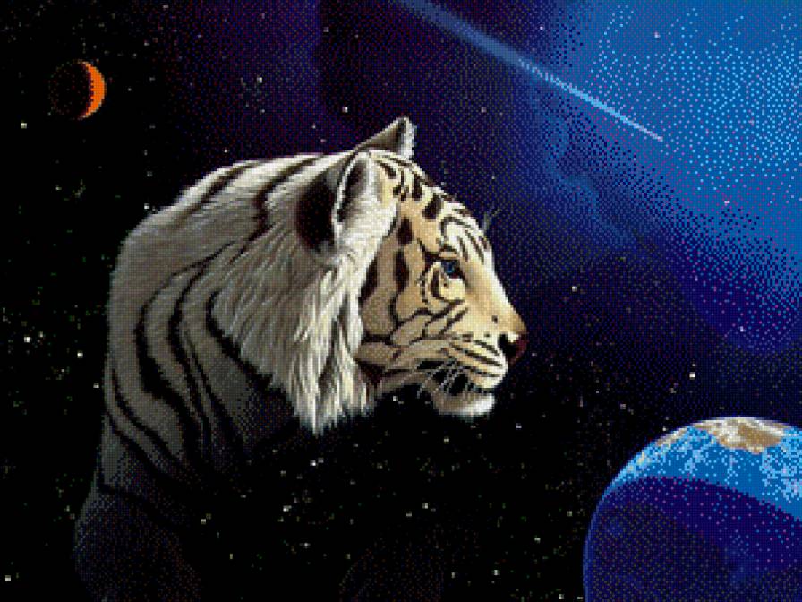 Белый тигр - космос, луна, белый тигр, земля - предпросмотр