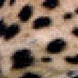 Предпросмотр схемы вышивки «Леопард» (№1067119)