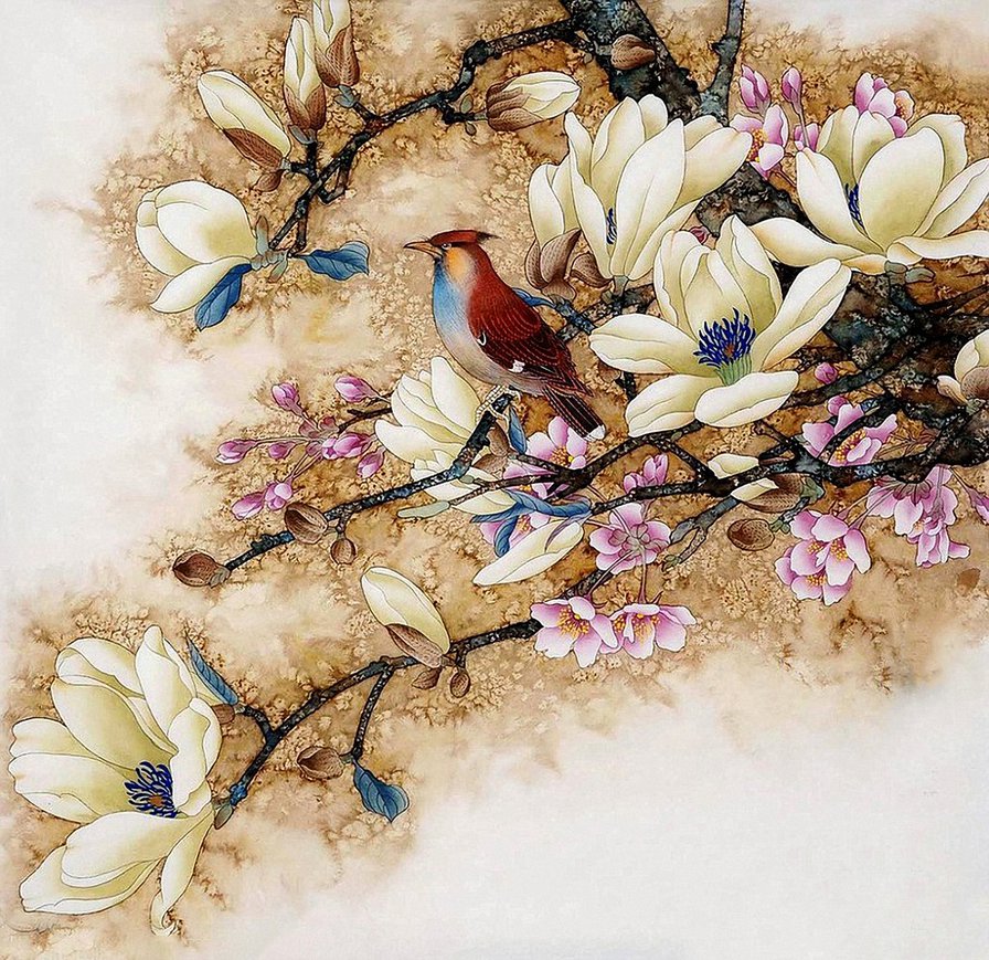 Птица на магнолии - птица, магнолия, природа, цветы - оригинал