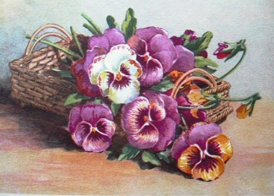 виола в корзинке - цветы - оригинал