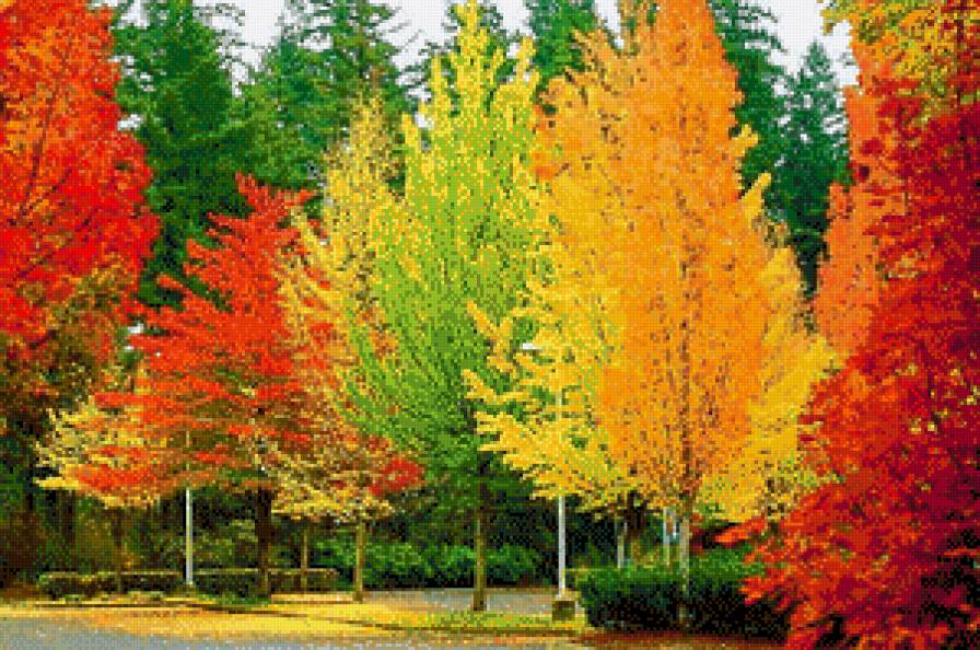 Осень - лес, осень, деревья - предпросмотр
