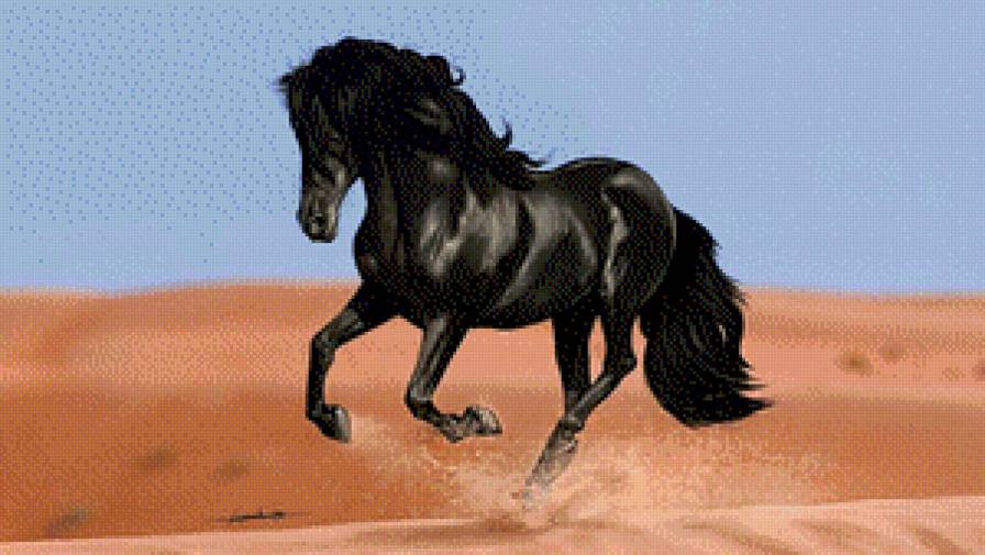 Лошадь - свобода - предпросмотр