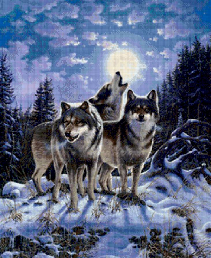 Волчья стая - волки лес луна - предпросмотр