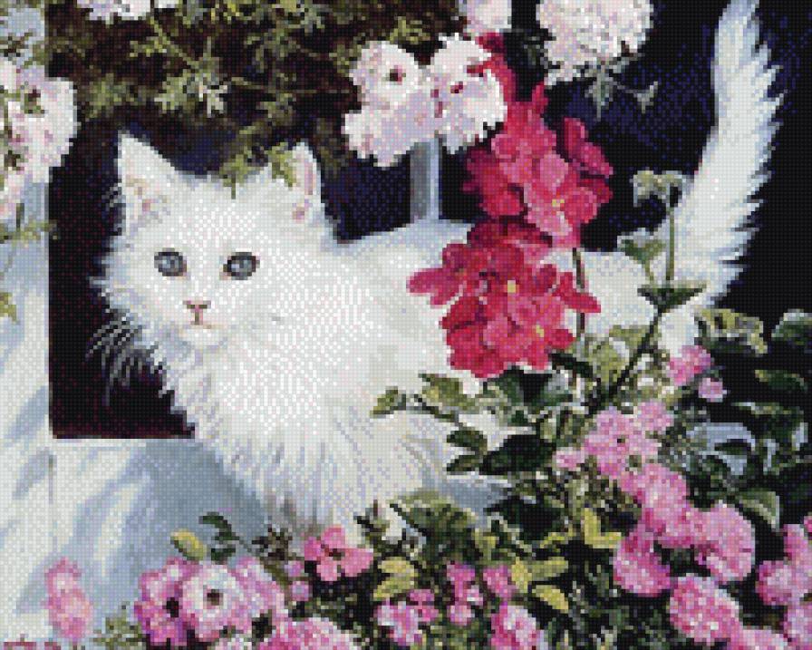 белая кошка - цветы, кошка - предпросмотр