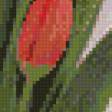 Предпросмотр схемы вышивки «Тюльпаны» (№1072488)