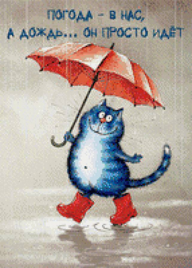 Дождь - погода, кот, дождь - предпросмотр
