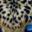 Предпросмотр схемы вышивки «ягуар» (№1073709)