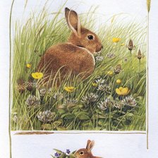 Схема вышивки «кролик»