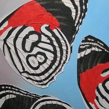 Оригинал схемы вышивки «Бабочки на стене» (№1075586)