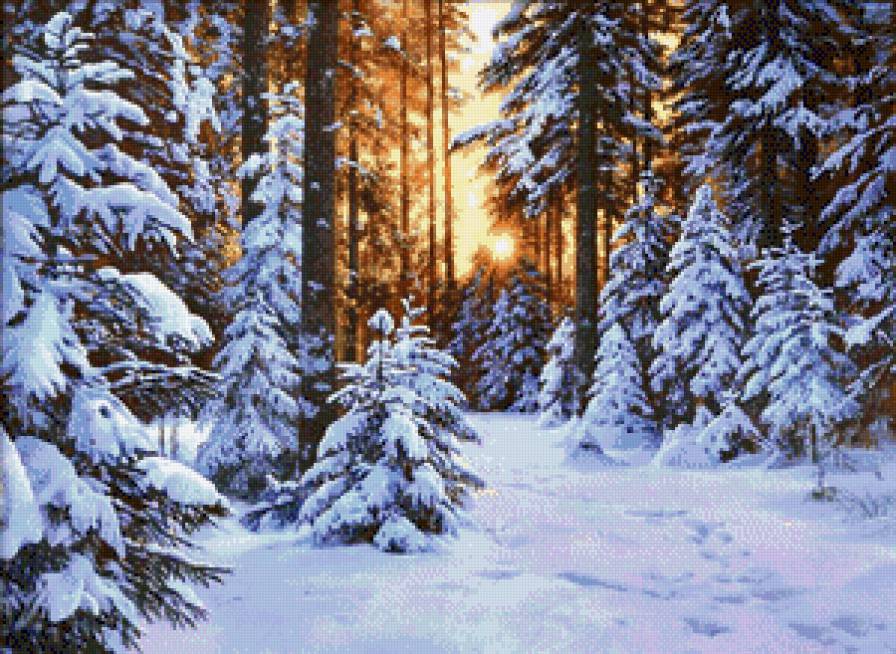 Зимний пейзаж - природа, снег, зима - предпросмотр
