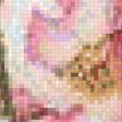 Предпросмотр схемы вышивки «Flor» (№1076763)