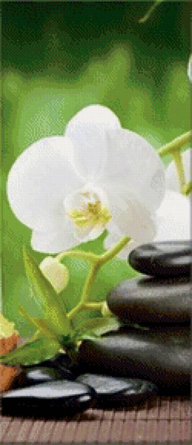 триптих орхидея_ ч.2 - орхидея, огонь, камни, свечи, цветы - предпросмотр