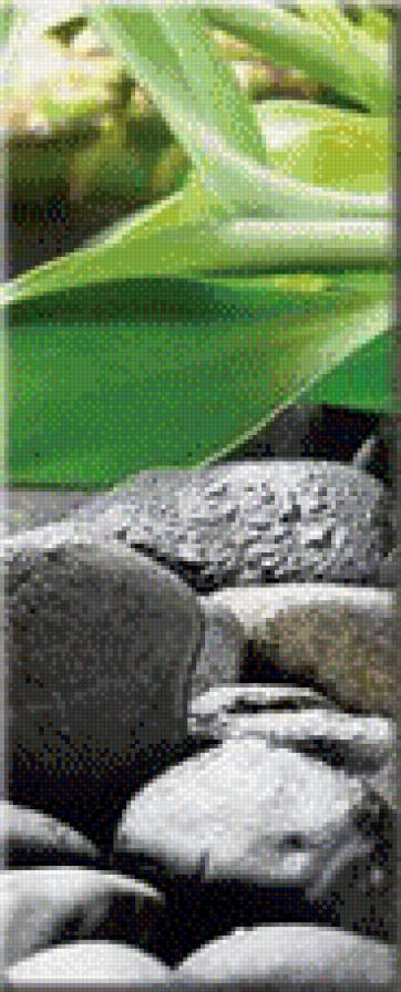 полиптех_цветок на камне ч.1 - орхидея, цветок, вода, камни, отражение - предпросмотр