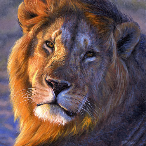 Лев - лев, животные - оригинал