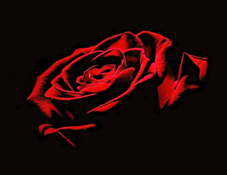 Красная роза - роза, цветок - оригинал