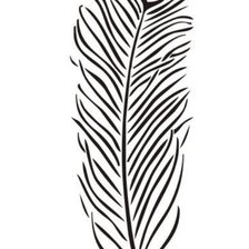Схема вышивки «Peacock feather»