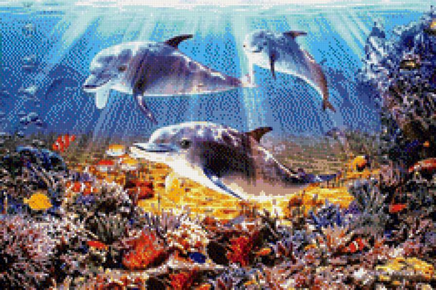 Дельфины - подводный мир, животные - предпросмотр