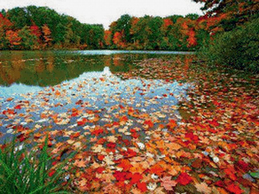 Листья на воде - предпросмотр