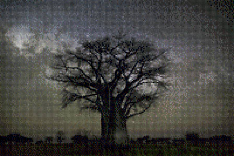 савана - пустыня, звезды, небо, ночь, дерево - предпросмотр