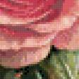 Предпросмотр схемы вышивки «Цветы» (№1080887)