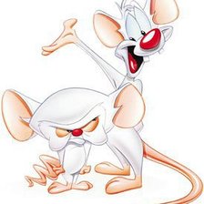 Схема вышивки «Pinky & Cerebro»