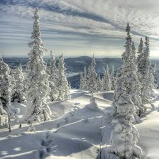 Схема вышивки «Forest»