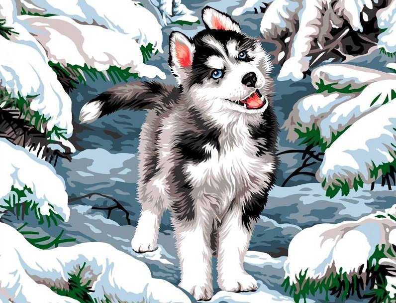 Cachorro Husky Siberiano - fauna - оригинал