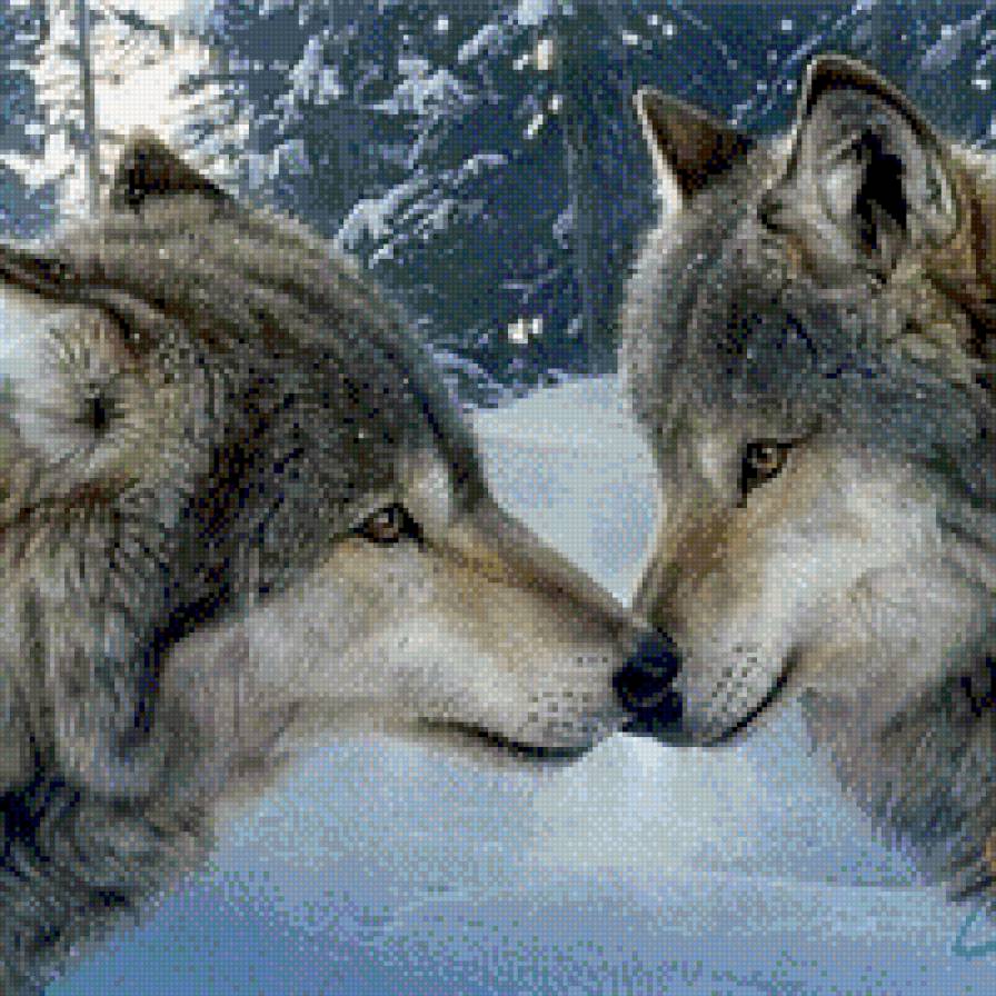 Влюбленные волки - схемы, вышивка, волки - предпросмотр