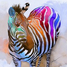 Радужная зебра