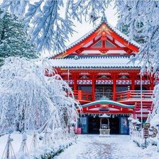 зима в Японии