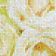 Предпросмотр схемы вышивки «Белые розы» (№1085319)