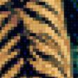 Предпросмотр схемы вышивки «Тигр на озере(2)» (№1085367)
