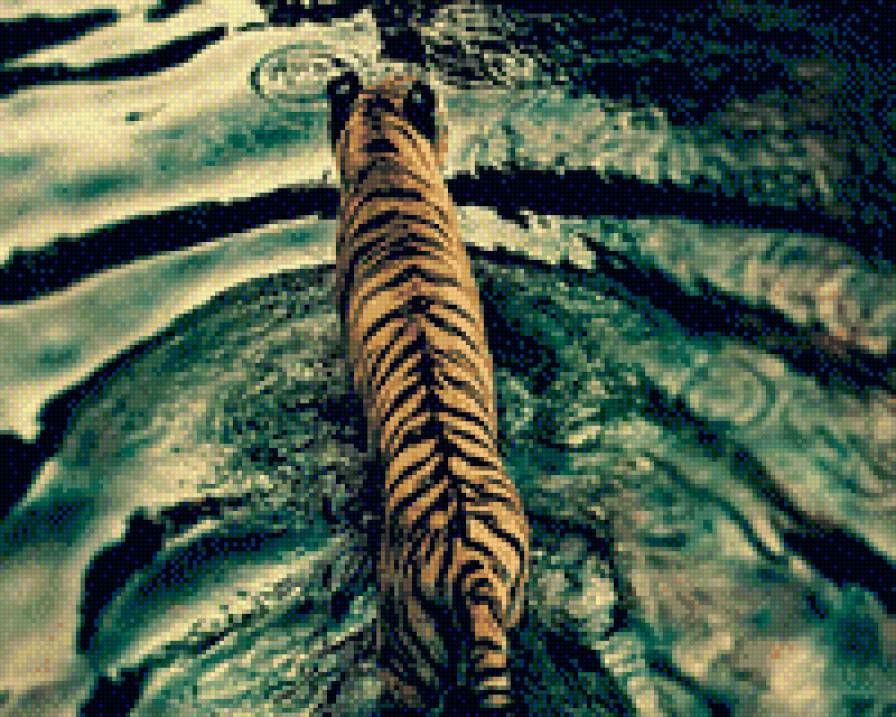 Тигр на озере(2) - озеро, кошки, тигр, вода, животные - предпросмотр