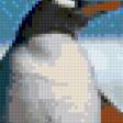 Предпросмотр схемы вышивки «Пингвин» (№1086672)
