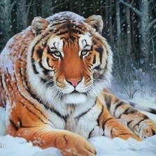 Оригинал схемы вышивки «Тигр в снегу» (№1088589)