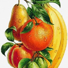 Оригинал схемы вышивки «фрукты 1» (№1089367)