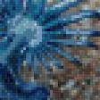 Предпросмотр схемы вышивки «Морской моллюск» (№1089670)