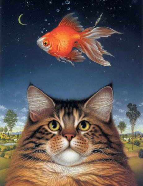 Котик - кот рыбка - оригинал