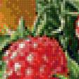 Предпросмотр схемы вышивки «фрукты и ягоды на ветке» (№1091374)