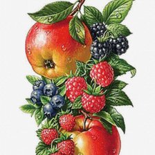 Оригинал схемы вышивки «фрукты и ягоды на ветке» (№1091374)
