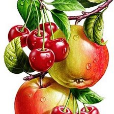 Оригинал схемы вышивки «яблоки и вишни на ветке» (№1091385)