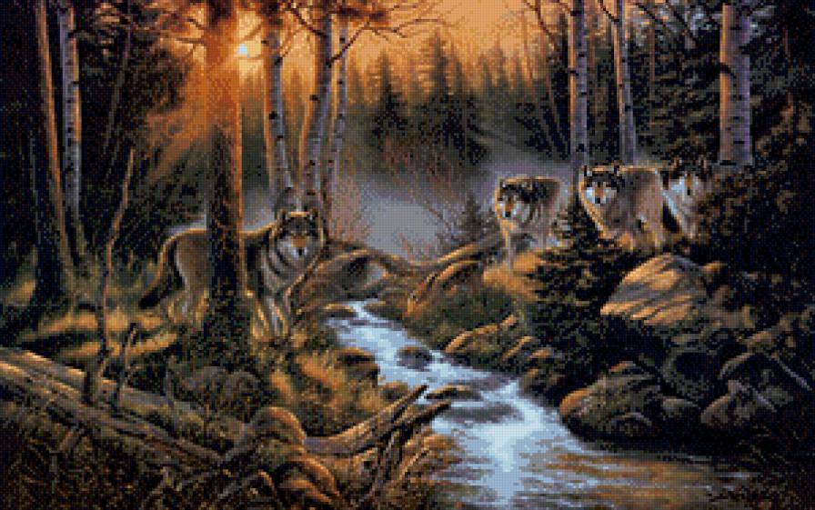 волки в лесу - предпросмотр