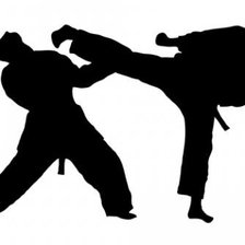 Схема вышивки «taekwondo spar»
