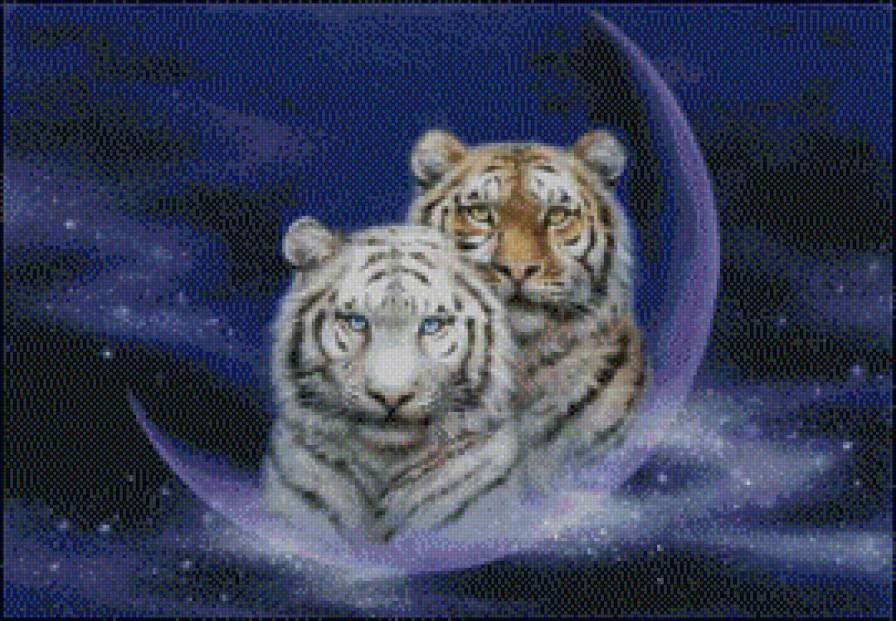 Лунные тигр - тигры - предпросмотр
