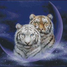 Оригинал схемы вышивки «Лунные тигр» (№1093339)