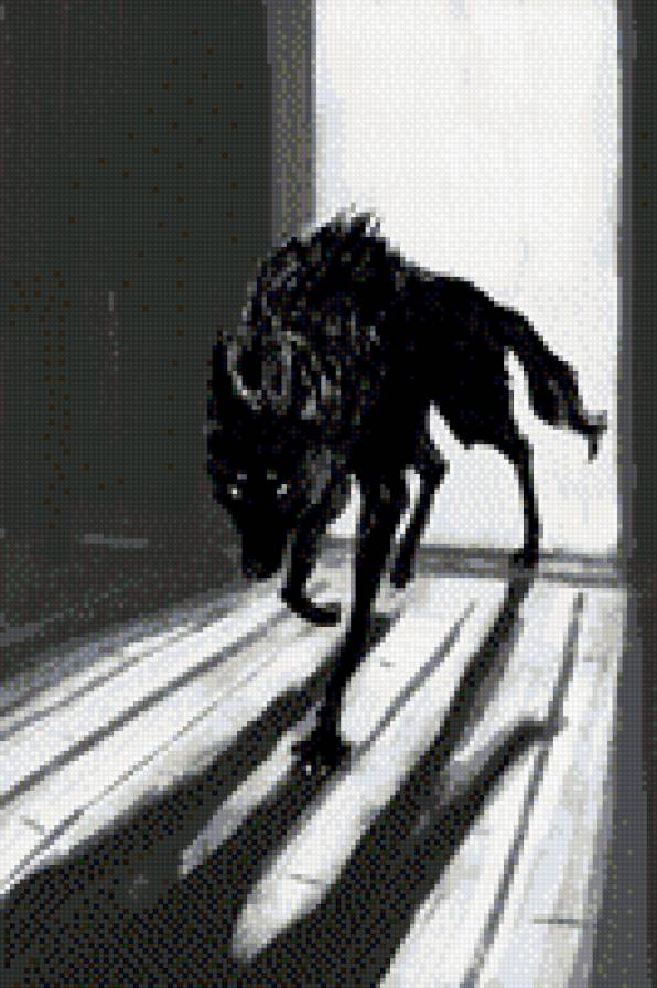 Черный волк - волк, черный, кошмар - предпросмотр