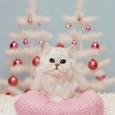 Схема вышивки «Новогодний котик»
