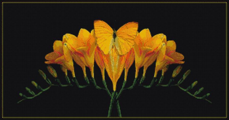 Цветы и бабочка - желтые цветы, цветы на черном фоне, цветы в зеркальном отражении - предпросмотр