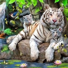 Белые тигры у водопада