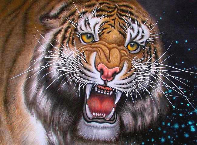 тигр - тигр, хищник - оригинал
